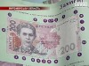 На Житомирщині винайшли спосіб подолати фінансову кризу
