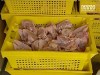 Тонна курятины досталась собачьему приюту