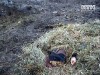 В Одесской области строитель распилил соседа на части