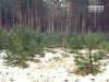 На Донеччині затримали першого новорічного браконьєра