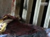 Житель Хмельницкого искал в Киевской обл. лучшей жизни, а нашел смерть