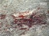 Грабіжник підірвався на власній гранаті
