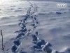 25-річний хлопець відповів за образливі слова страшною смертю