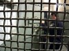 Мужчина забил насмерть свою сожительницу за беспорядок в квартире