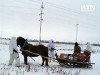 4-ро сум`ян намагалися переправити в Росію сани зі священним вантажем
