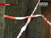 Громкое убийство! В Одессе застрелили помощника депутата