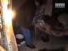 78-летний старик за плохой прием отплатил 20-ю ножевыми ударами