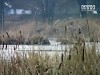 Школьники спасли женщину от верной смерти в воде!