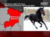 В Ровенской области парень убил любовника своей матери