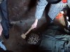 Порубала сокирою на шматки, а рештки тіла викинула у водосховище