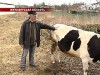 Заздрість довела родичів до в`язниці