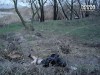 Убил друга, потому что приревновал к своей невесте