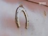 Макарівського бізнесмена забили на смерть бейсбольною биткою