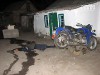 На Черкащині молодик наніс 43 ножових поранення сусідці