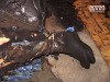 Гости сначала убили, а потом сожгли хозяина в его собственной квартире