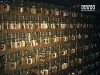 Броварські правоохоронці знайшли склад нелегальної горілки на 1 млн. грн.