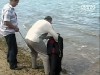 У Криму господар ресторану вбив відвідувача, бо той засидівся