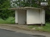 Во время грозы в Полтавской обл. молния попала сразу в трех человек