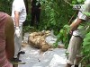 Главного бухгалтера Управления госохраны убили за тайный бизнес?
