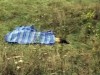 Убил беременную подругу, после чего покончил жизнь самоубийством