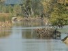 Цунамі на Сумщині: річкою Ворсклою прокотилася хвиля