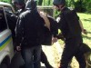 Двом хлопчакам так закортіло мобілок, що вирішили обікрасти крамницю
