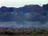 На Рівненщині горять торфовища: місцеві мешканці вже місяць дихають токсичним димом