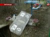 Хулігани на Луганщині споплюжили майже 80 могил
