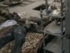 Житель Запоріжжя вбив та забетонував своїх батьків