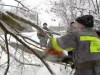 Рятувальники очищують місто від поламаних дерев