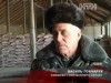 На Хмельниччині схопили крадіїв, які цупили цукор