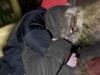 В Сифмерополе задержан 15-летний разбойник
