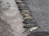 На Днепроздержинском водохранилище задержали браконьеров