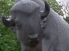 У Київському зоопарку помер від старості бізон