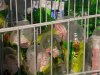 В Киеве парень ограбил холодильник с мороженым