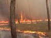На Луганщине горело 200 гектаров леса