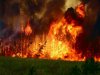 Росія й США потерпають від лісових пожеж, а Пакистан - від повеней