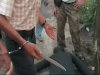 На Черкащині пенсіонер зарізав перехожого за гостре слівце
