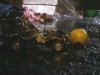 В Харькове двое детей матери-алкоголички погибли в огне