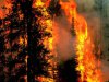 На Луганщині інспектори ДАІ гасять пожежі