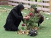 На Ивано-Франковщине футбольные ворота убили семиклассника