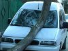 На Ивано-Франковщине за упавшее на машину дерево никто не хочет отвечать