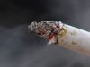 Кожен третій четвер листопада - Міжнародний день відмови від куріння