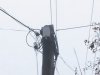На Одесщине 5 лет не могут найти виновных в смерти 10-летней девочки