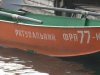 Пес чуть было не утопил своего хозяина