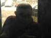 Львів'янин завдав сторожеві автостоянки тридцять ножових поранень