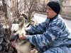 В Крыму для спецслужб выращивают овчарок с примесью волчьей крови