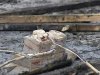 В Голосеевском районе Киева сгорело пять павильонов рынка