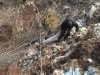 На Київщині жінка зарубала сокирою свого чоловіка
