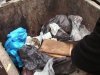 На Львовщине 16-летняя студентка выбросила мёртвого новорожденного на помойку